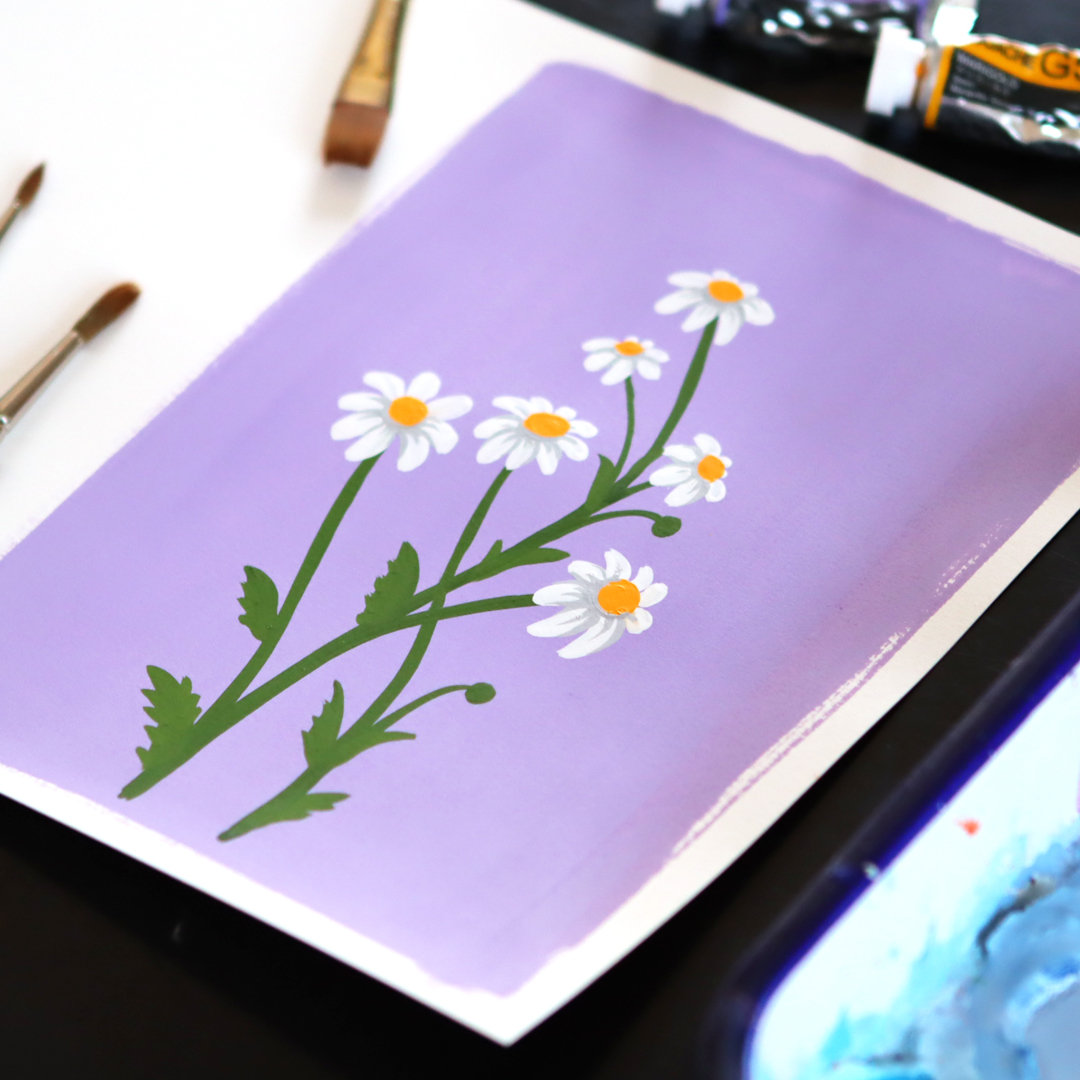 chamomile flower gouache painting