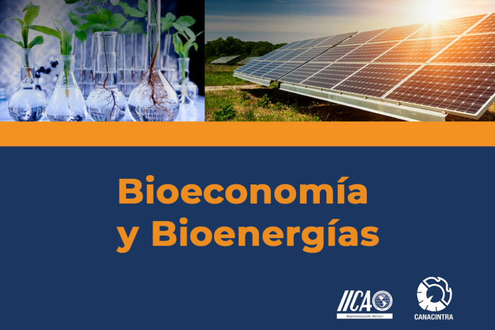bieconomía y bioenergías