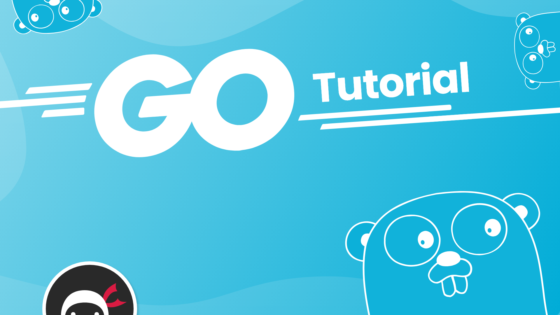 Learn Go Golang Net Ninja