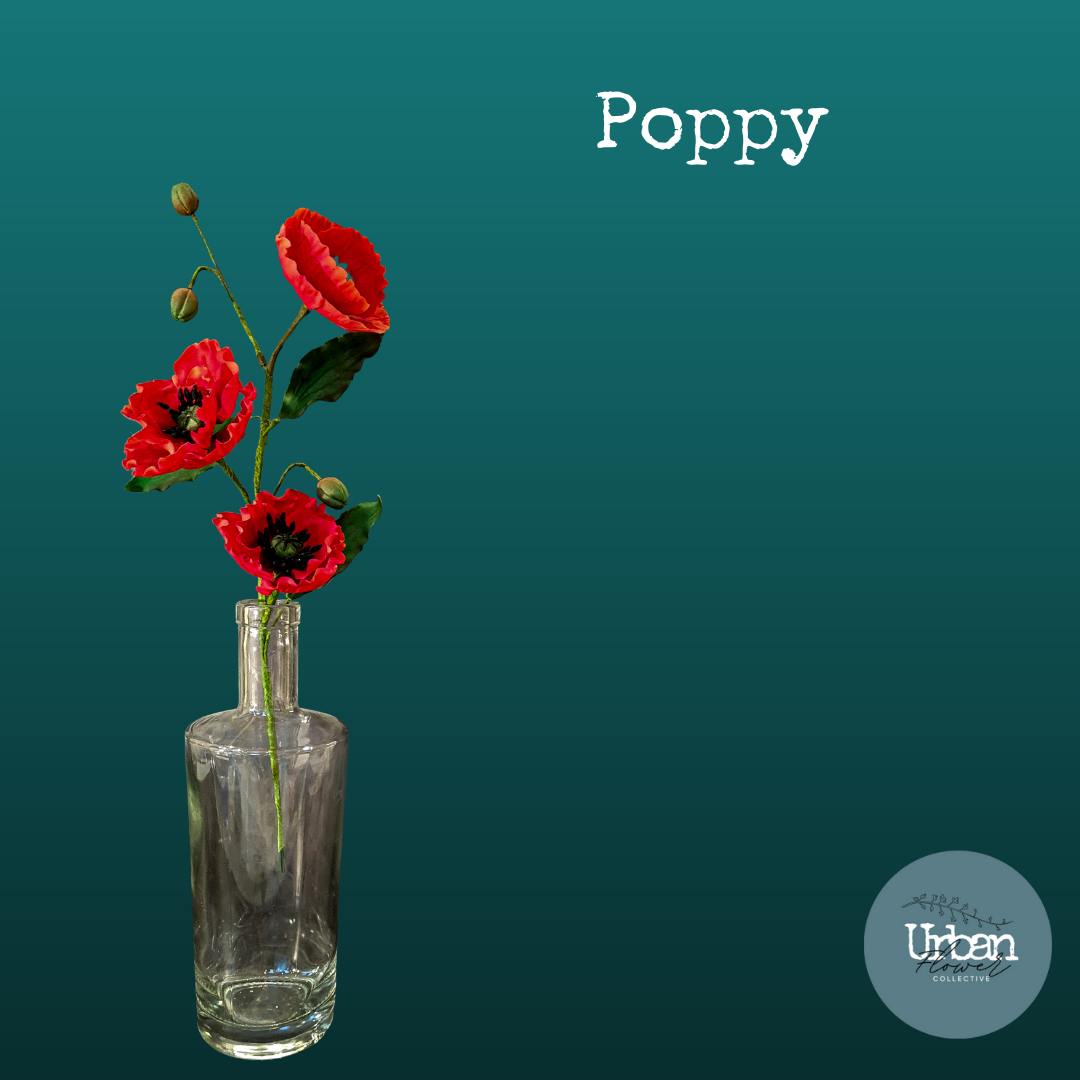 poppy