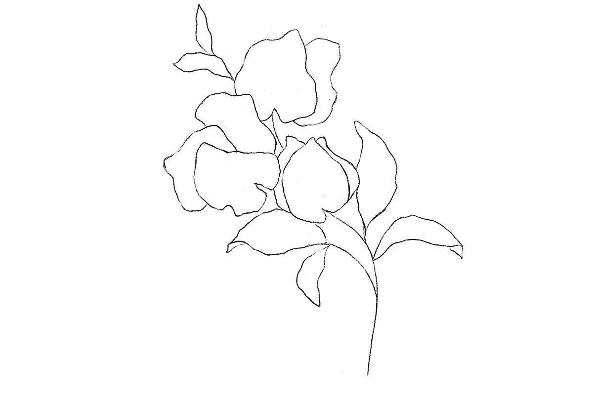 Drawing course florals art classes for beginners