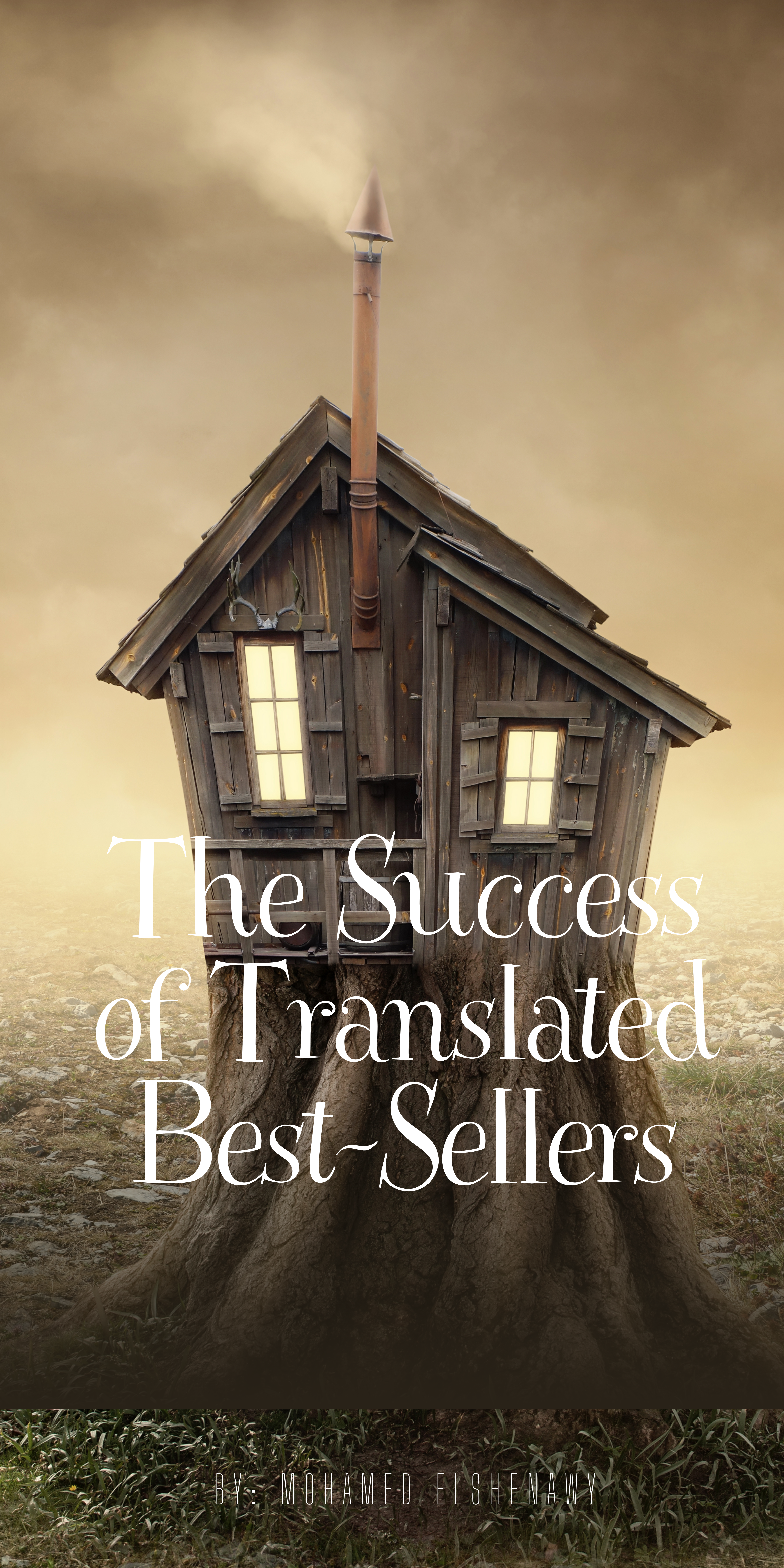 The Success of Translated Best-Sellers: Analysis and Insights