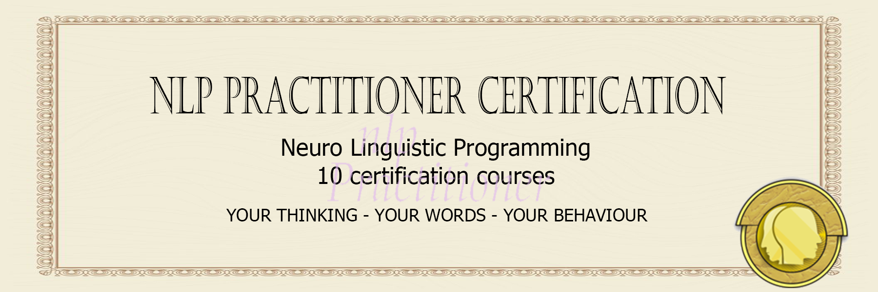 NLP practitioner certification 