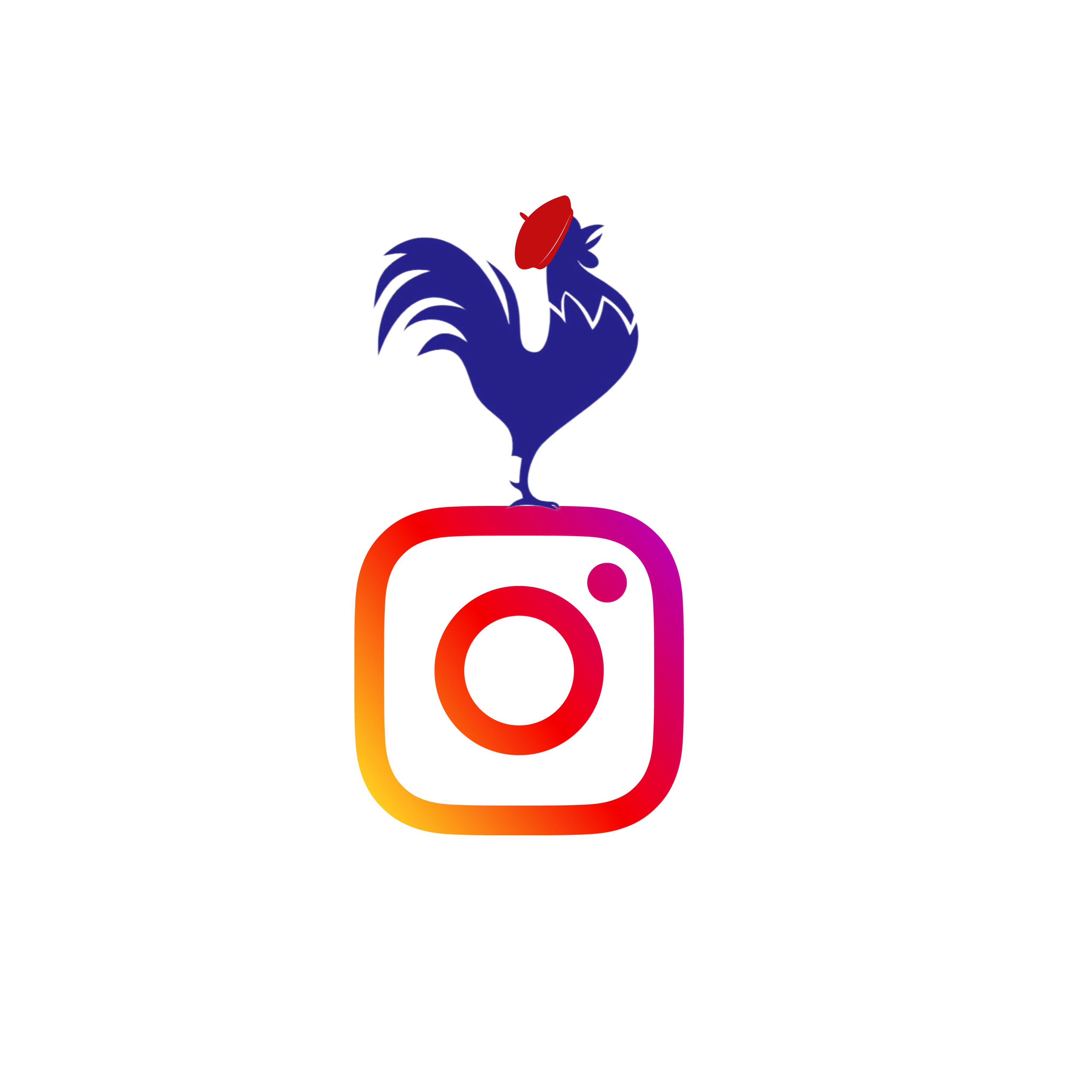 Ffunfrench instagram to learn french