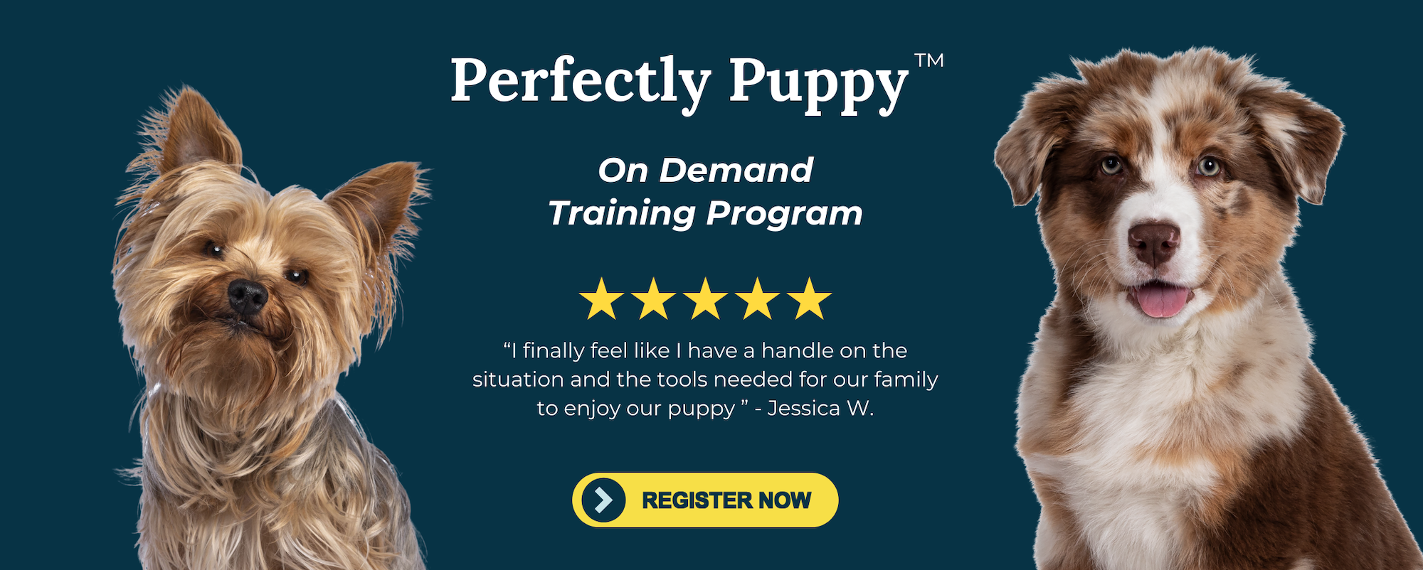 a dark blue banner image for perfectly puppy training from fearless pet