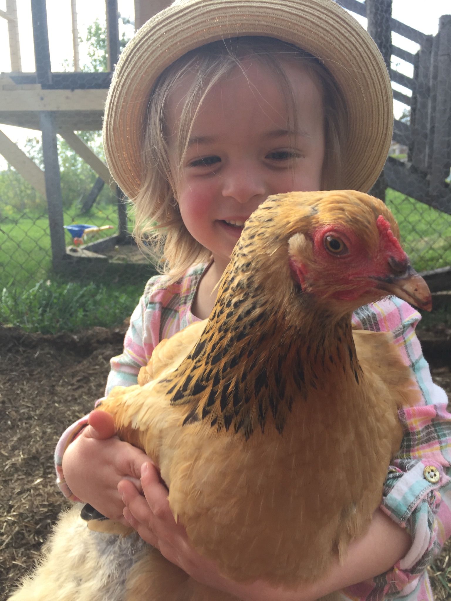 Une jeune fille tenant une poule dans ses mains.