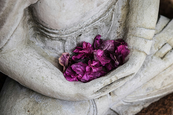 A Buddha statue cradling flower petals.