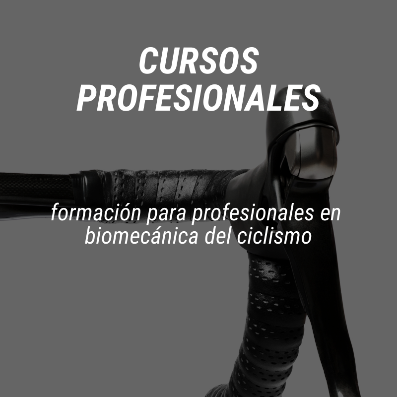 Cursos profesionales