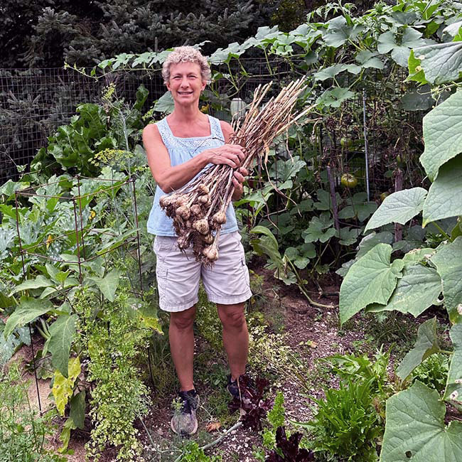 organic garden raised bed