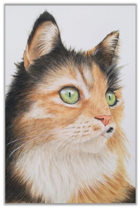 calico cat in watercolor by rebecca rhodes