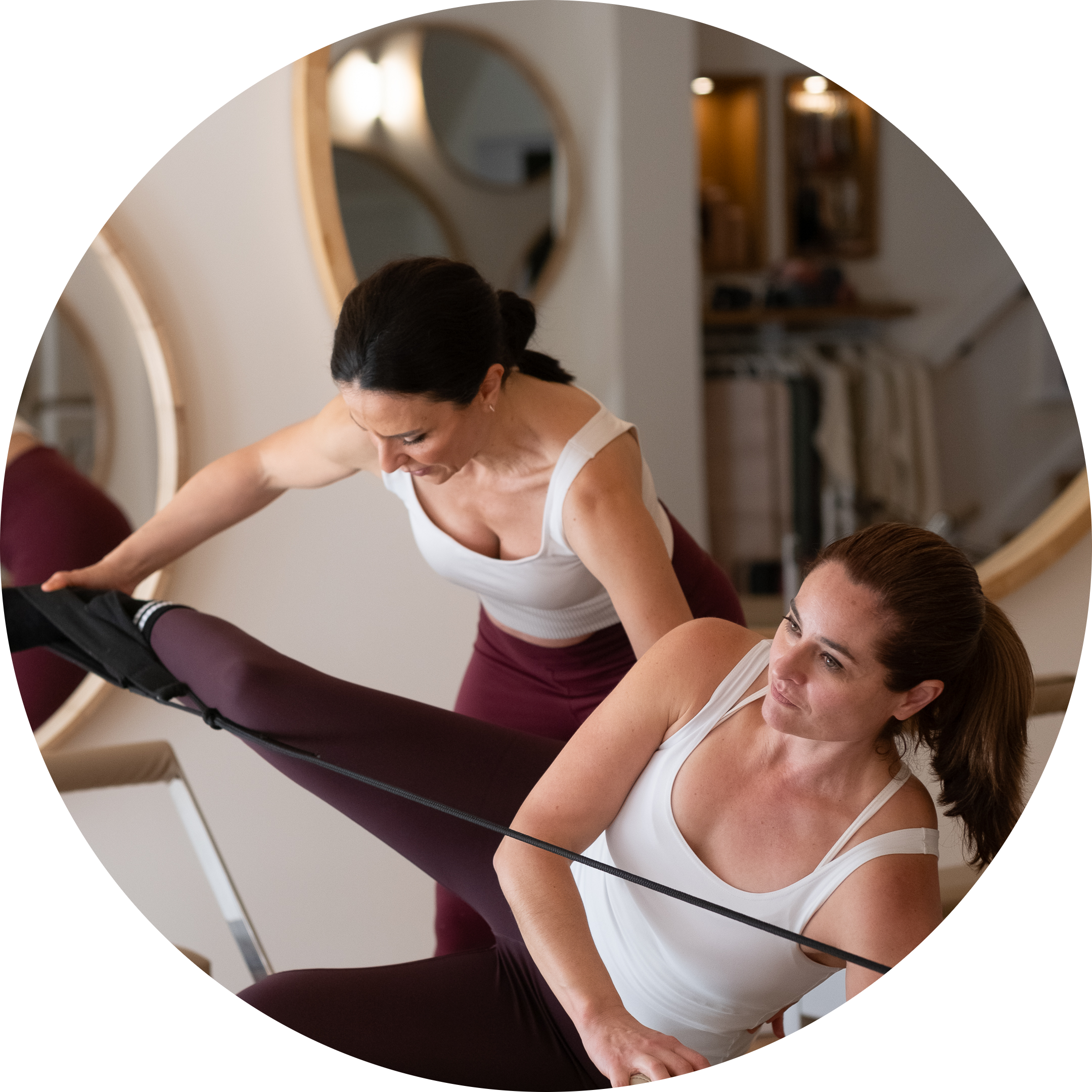 reformer pilates course online anatomy certificate certification training online face to face