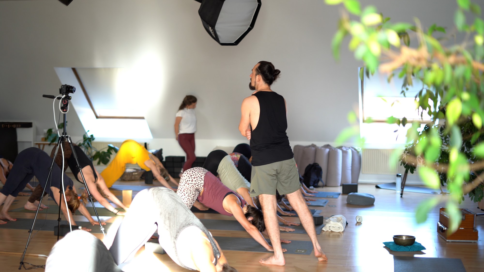 Element Yoga Präventionskurse