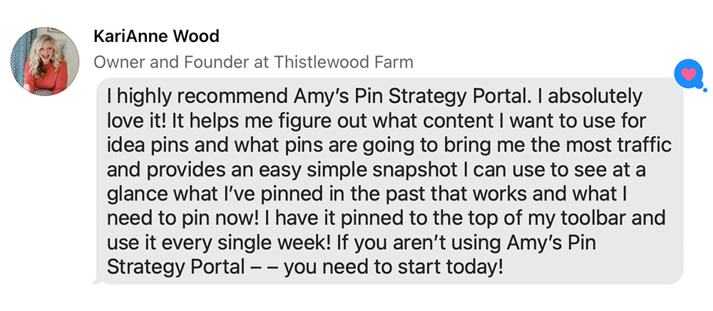 Amys Circle Pin Strategy Portal Testimonial