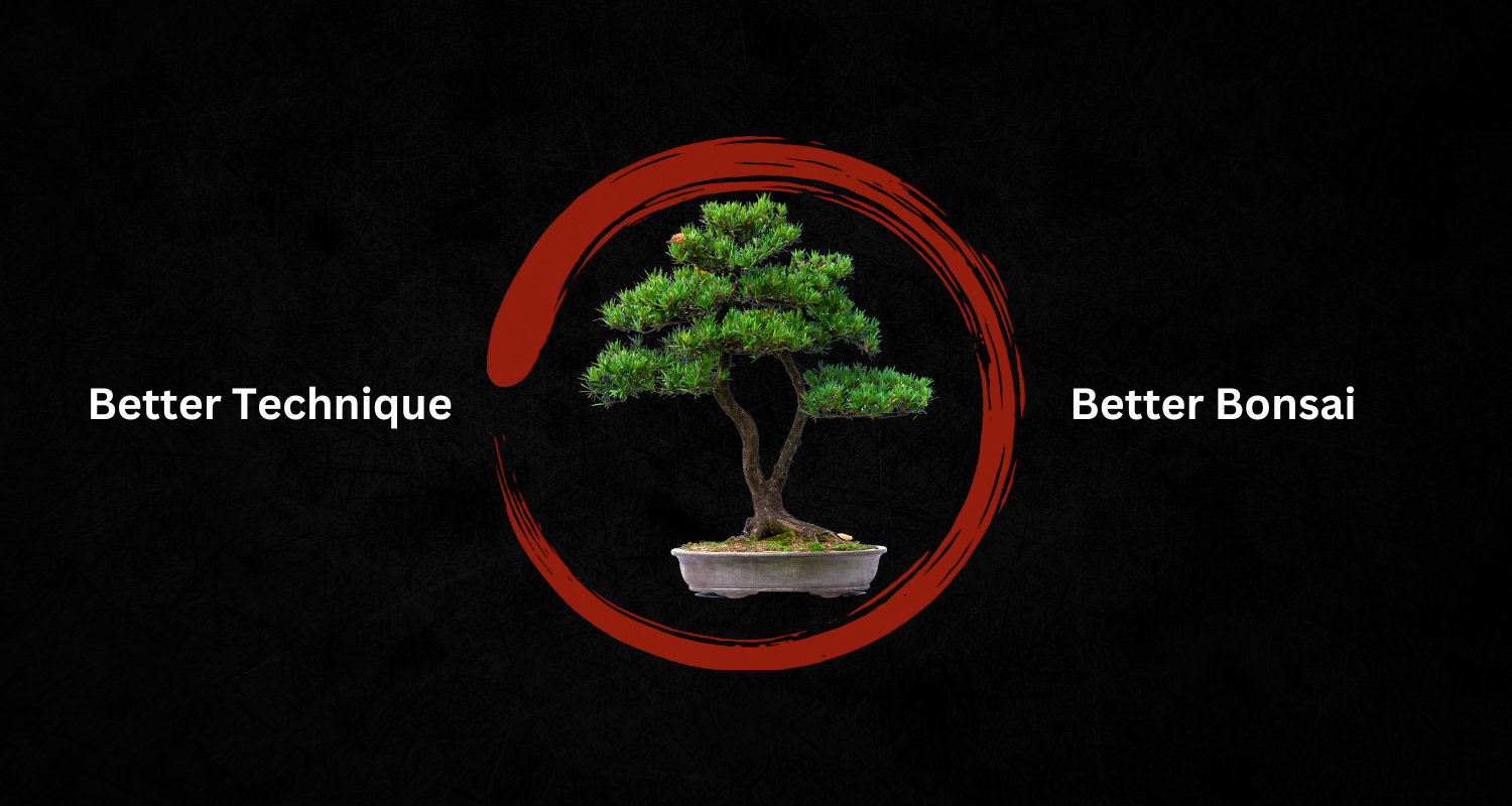 Online Bonsai School