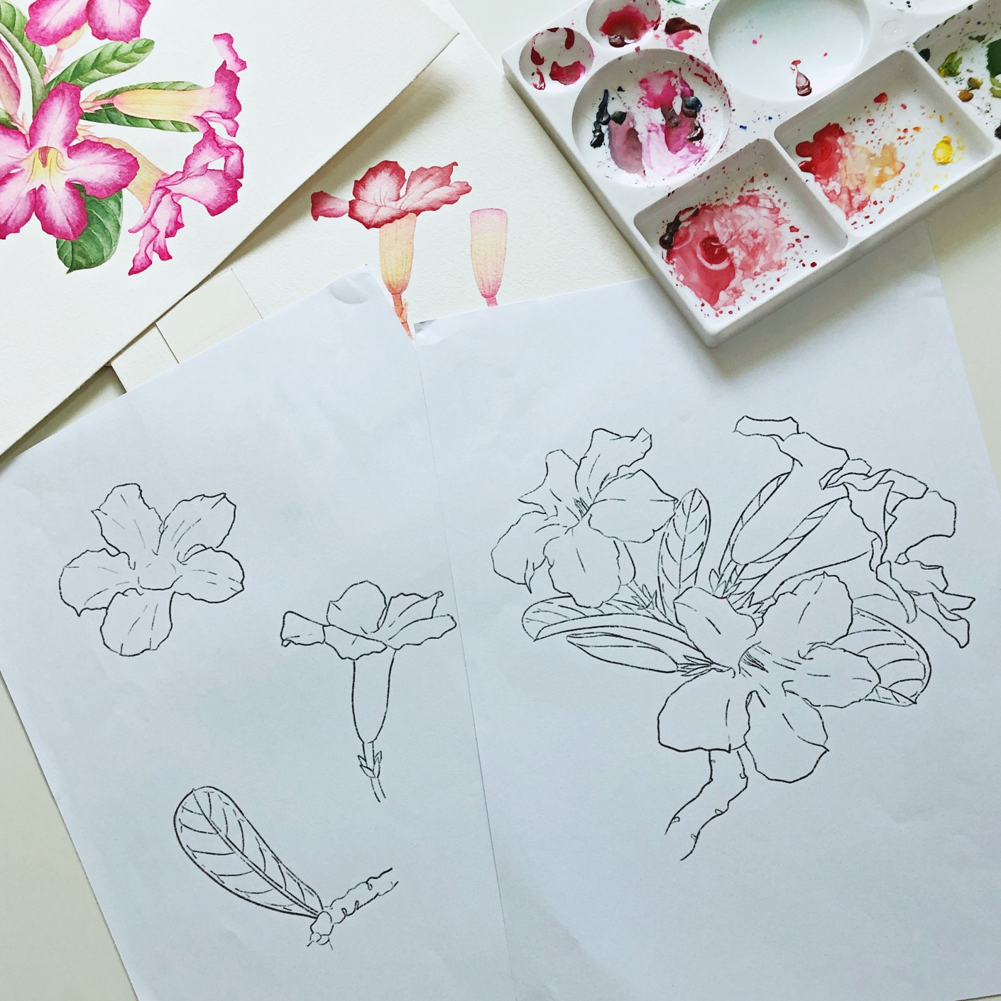 Watercolor flower template free