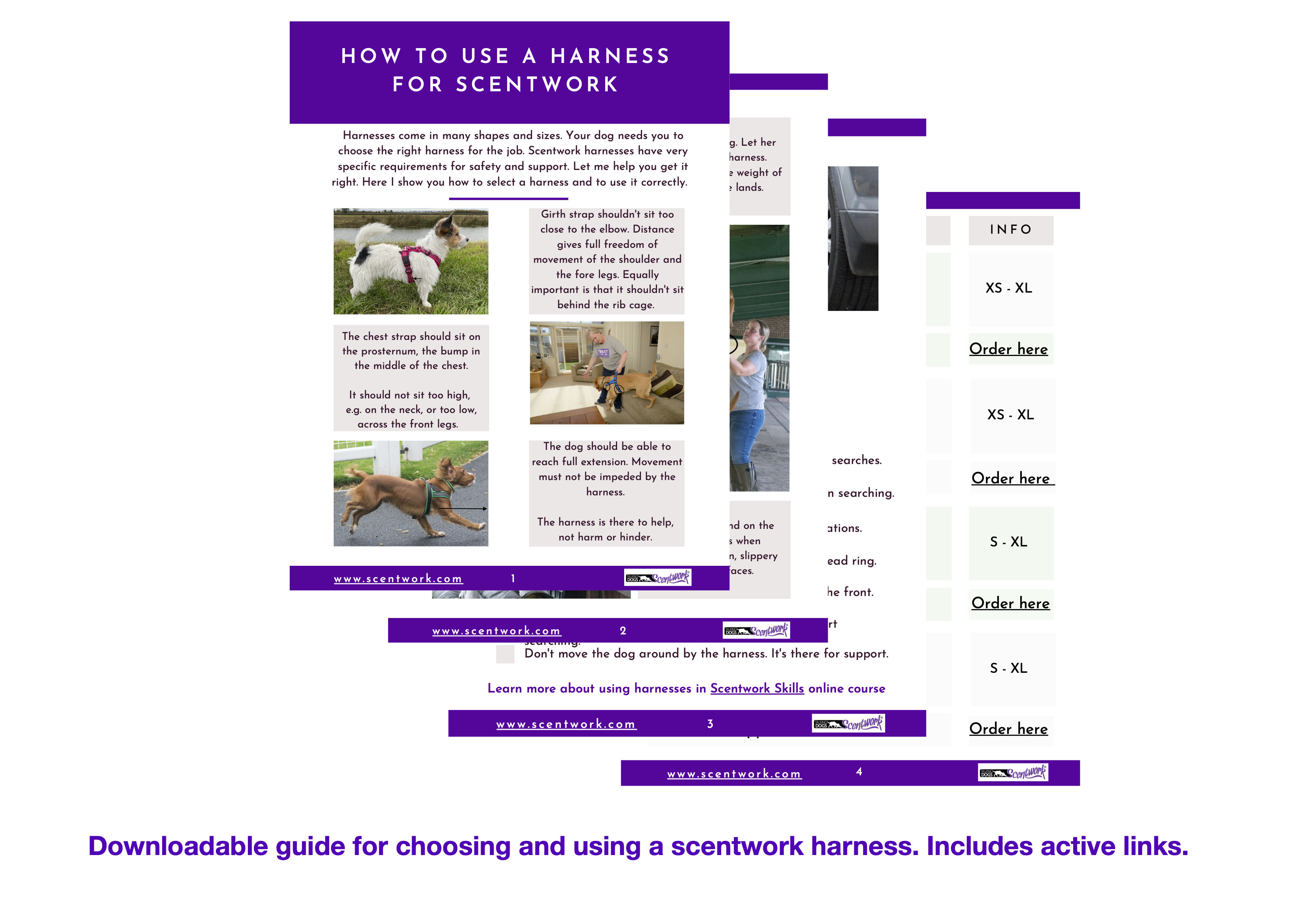 4 page guide to scentwork harness