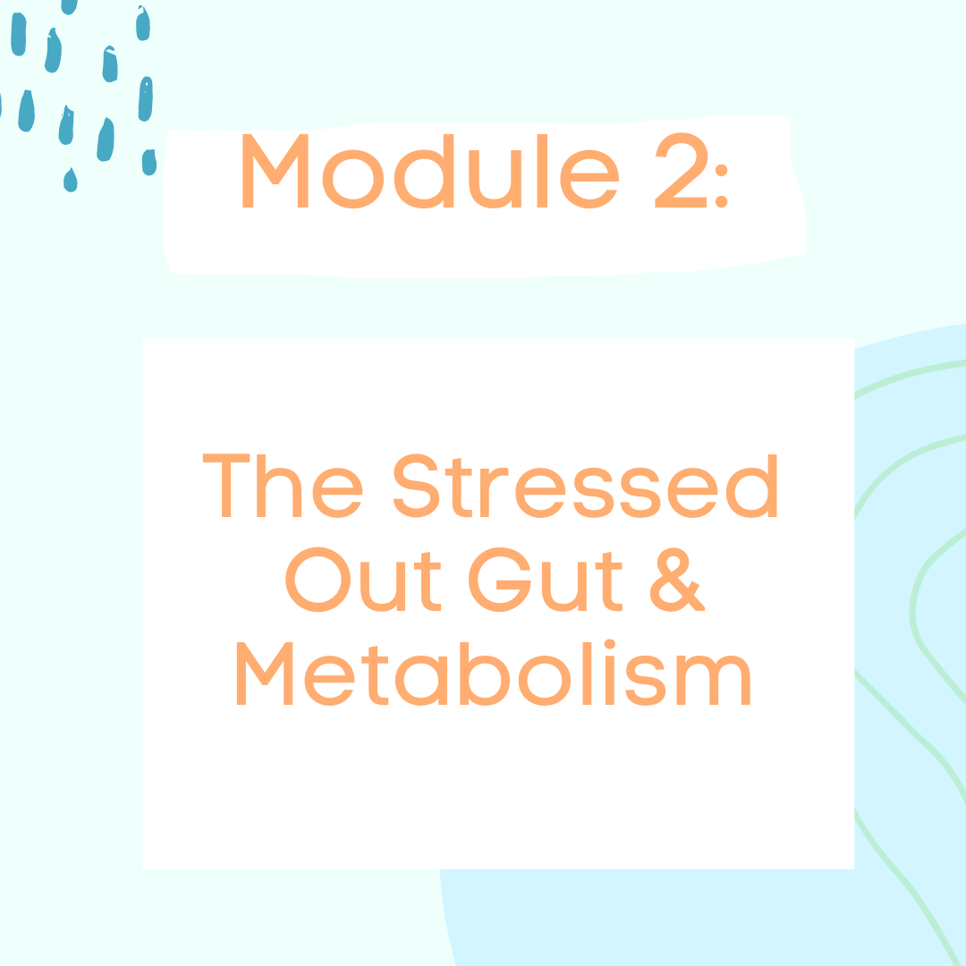 Module 2: Stress Management & Implementing a Simple Self-Care Routine