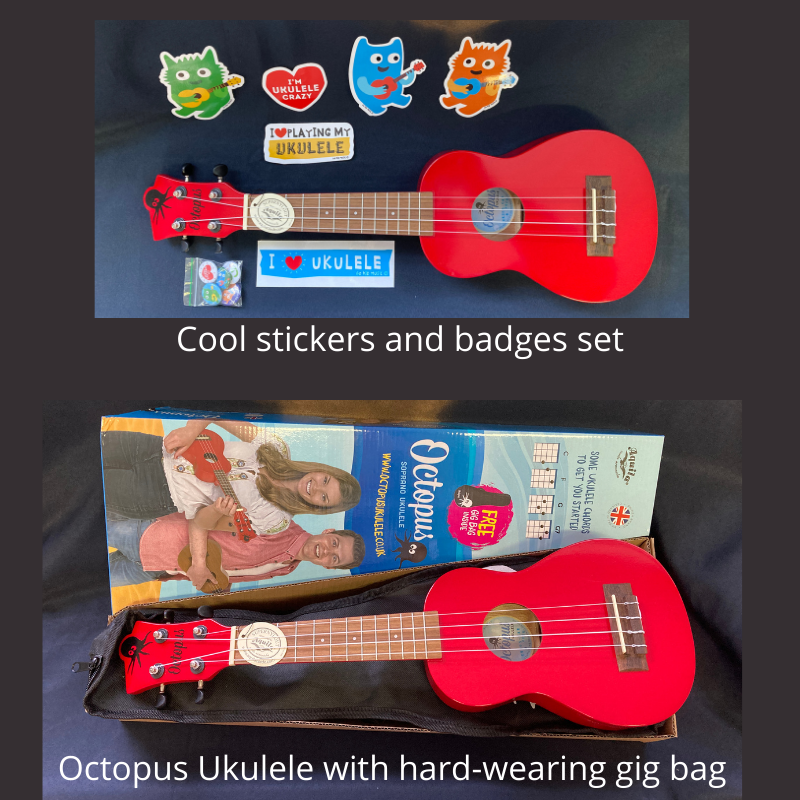 octopus ukulele bag