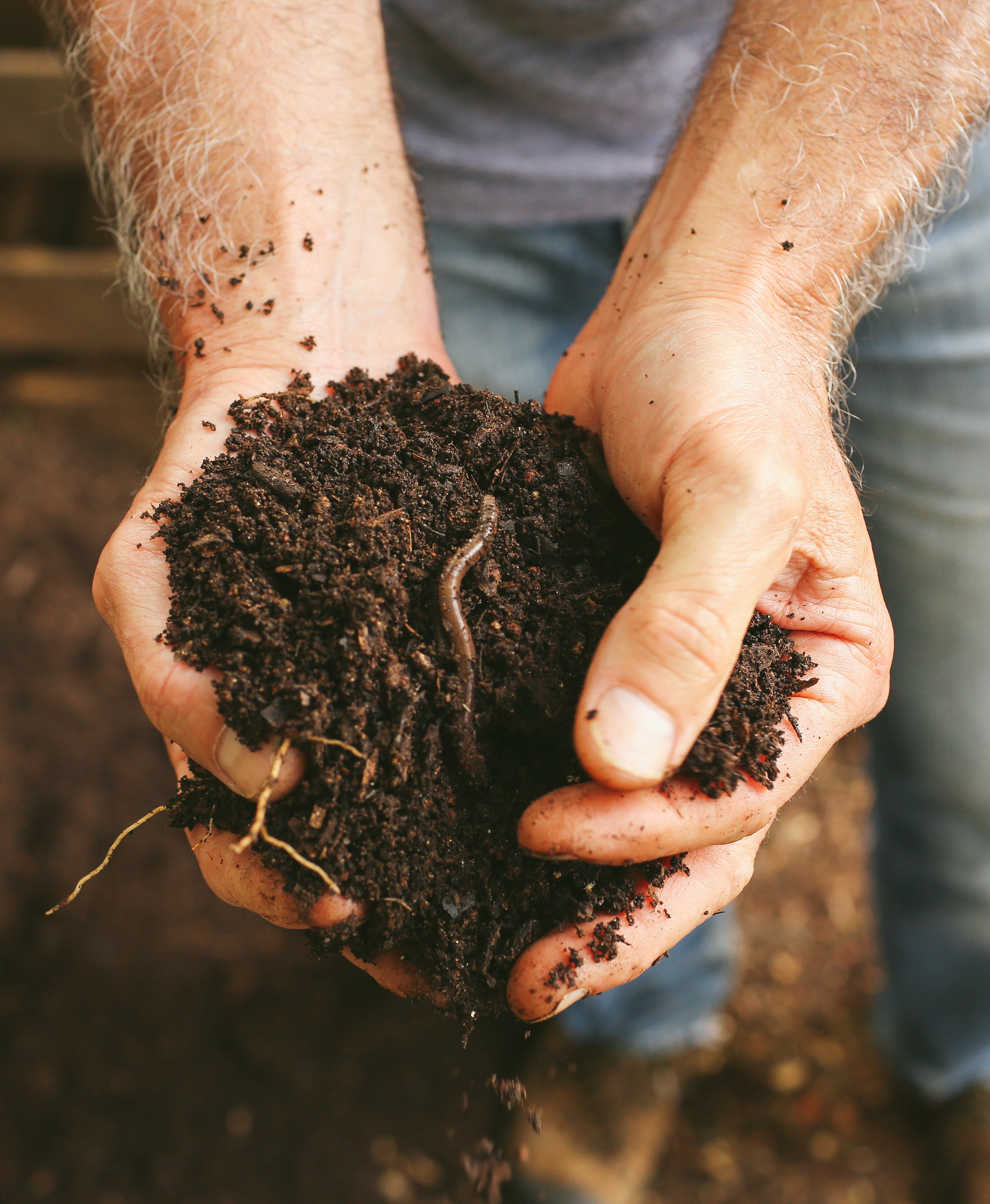 handful of soil with an earthworm