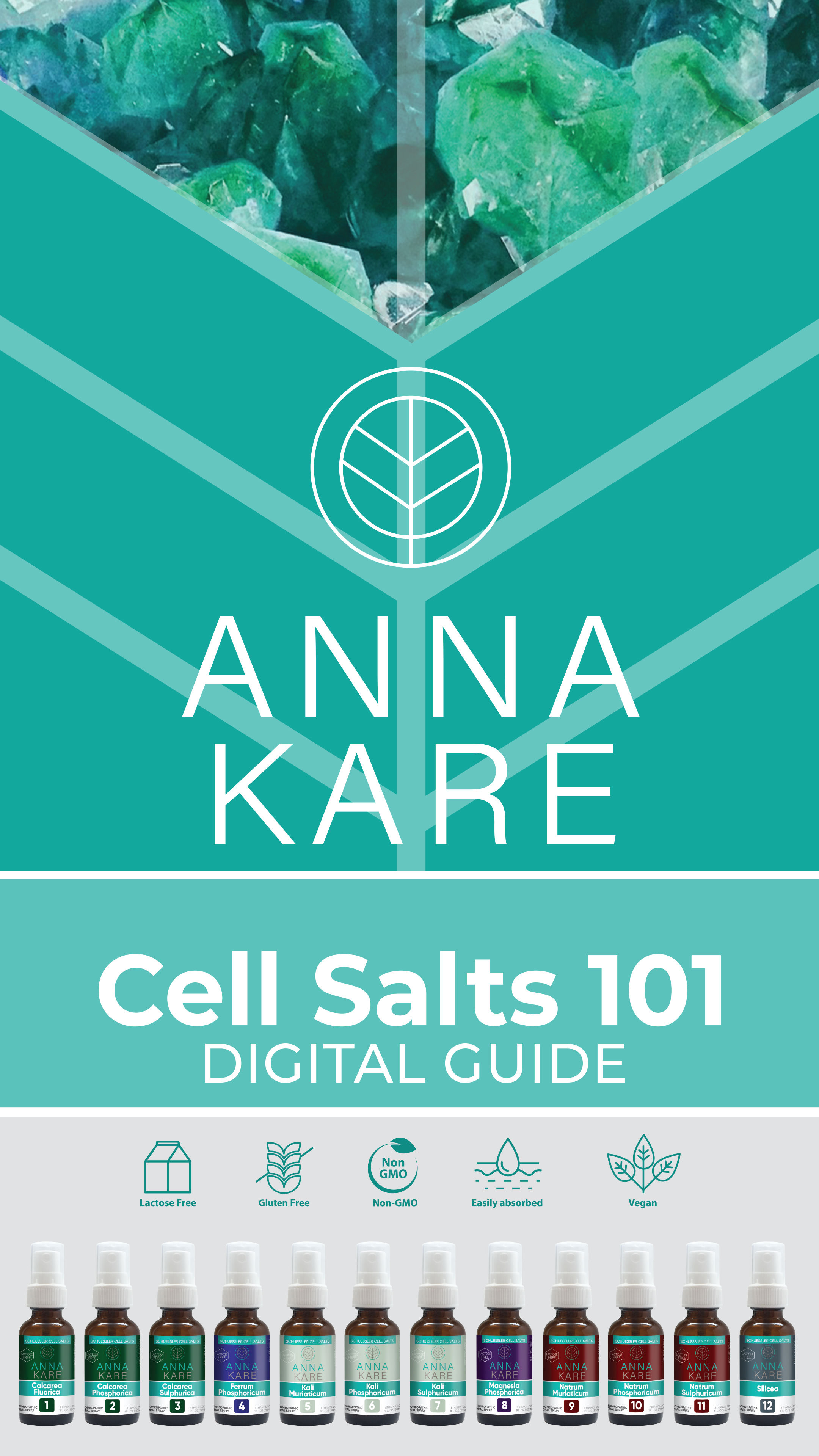 Intro to Tissue Salts eBook with chart