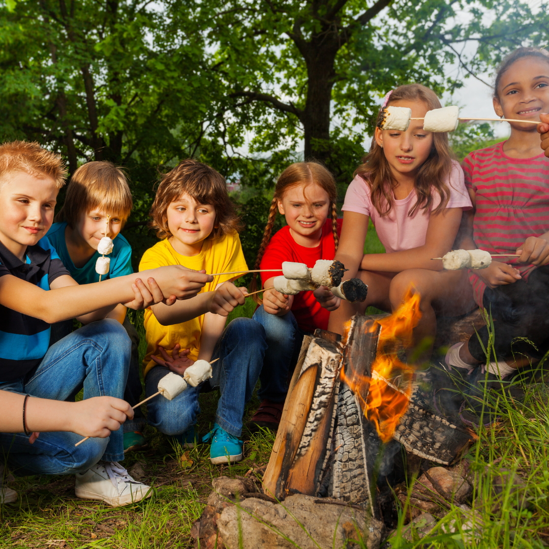 campfire with marshmallow toasting