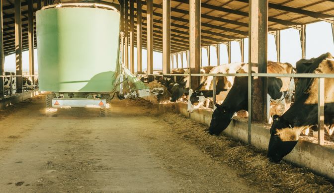 housing structures in dairy farming