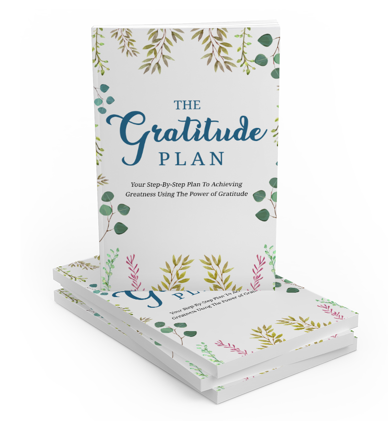 The Gratitude Plan eBook