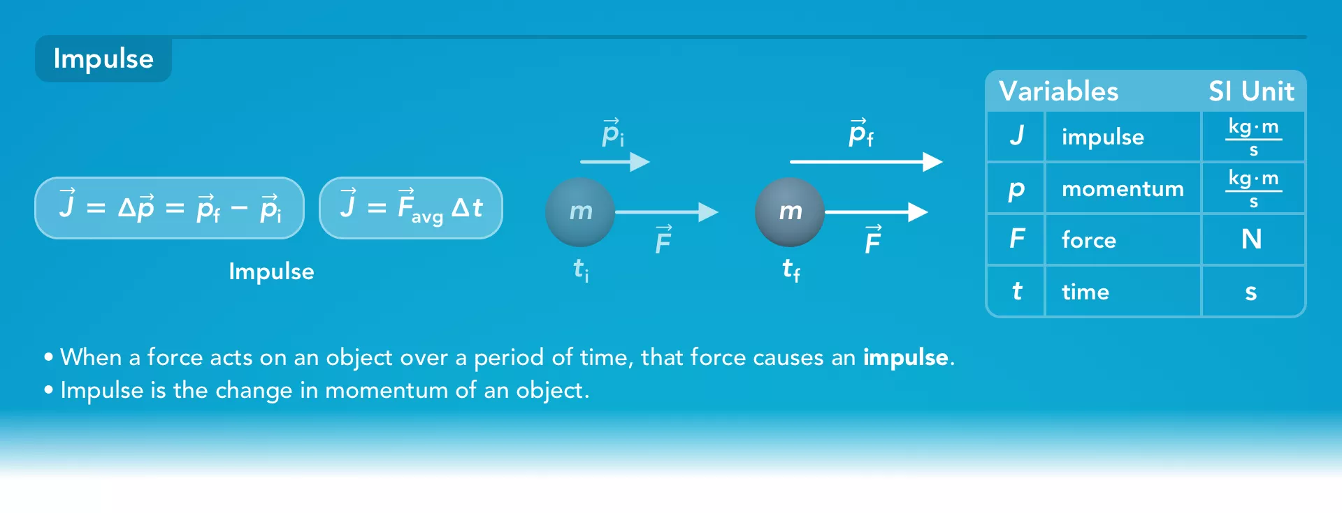 Momentum study quide