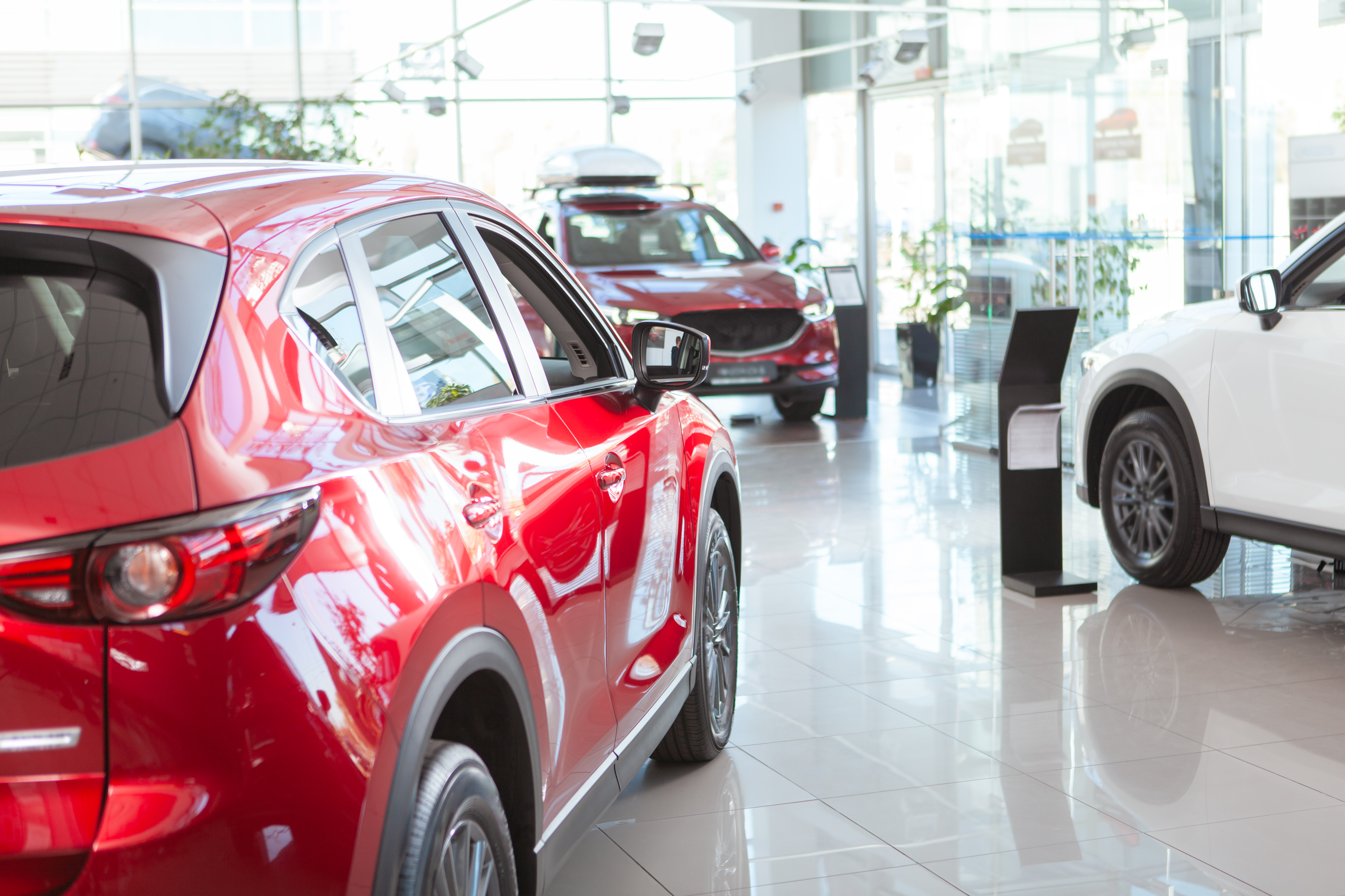 Cars at a dealership