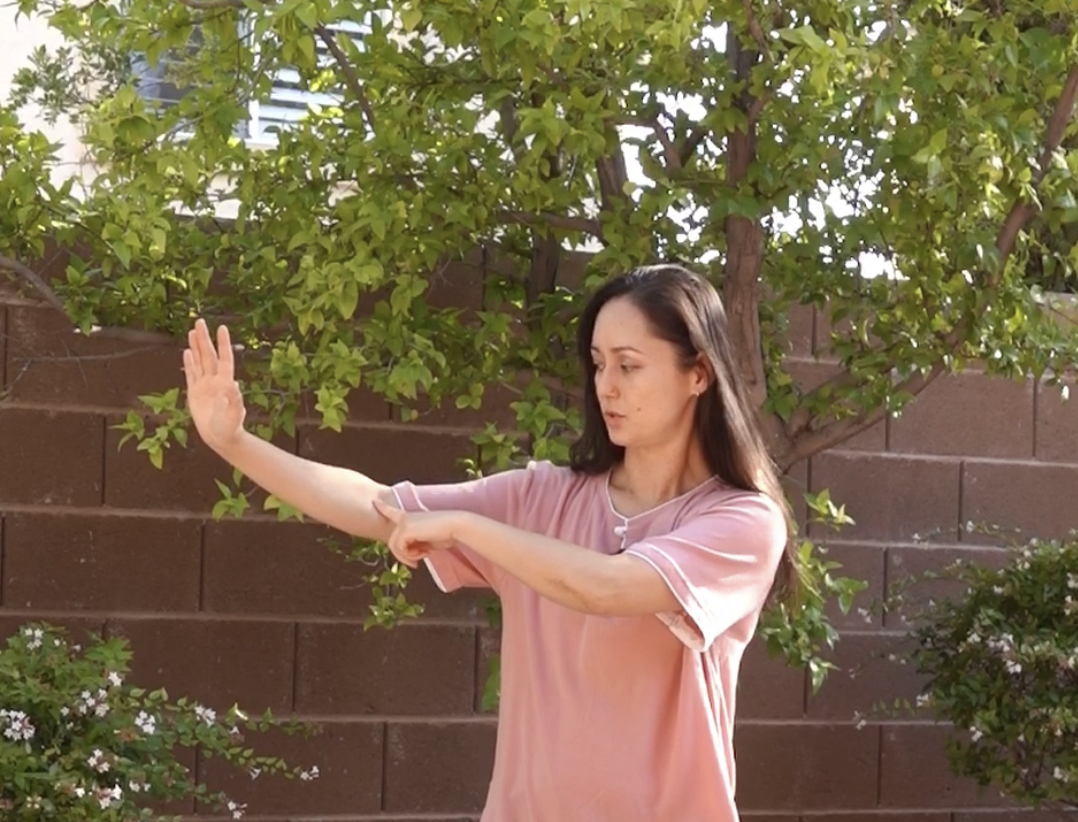 Alicia McGrann Tai Chi Instructor
