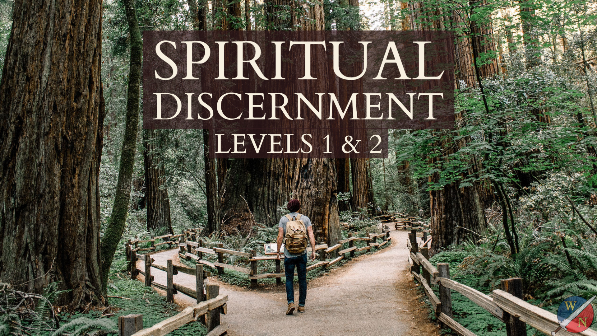 Spiritual Discernment course image