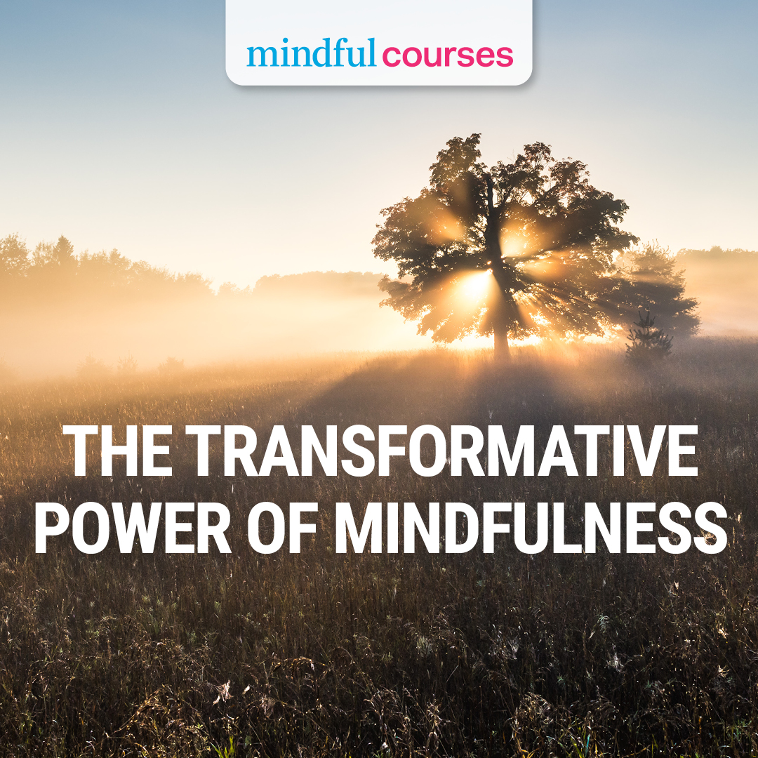 The Transformative Power of Mindfulness