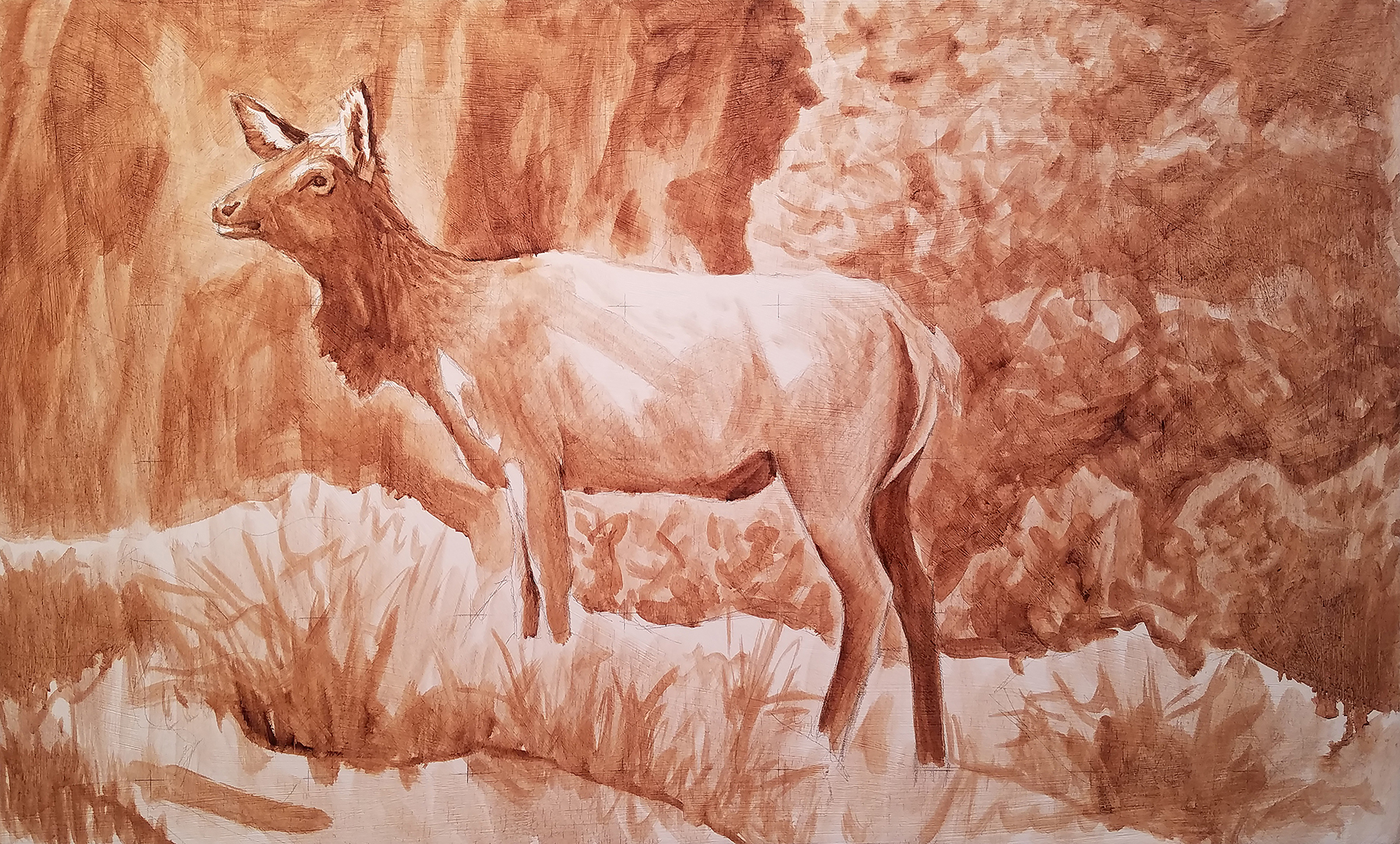 Elk oil painting, indirect method, tonal layer by Artist Robert Louis Caldwell