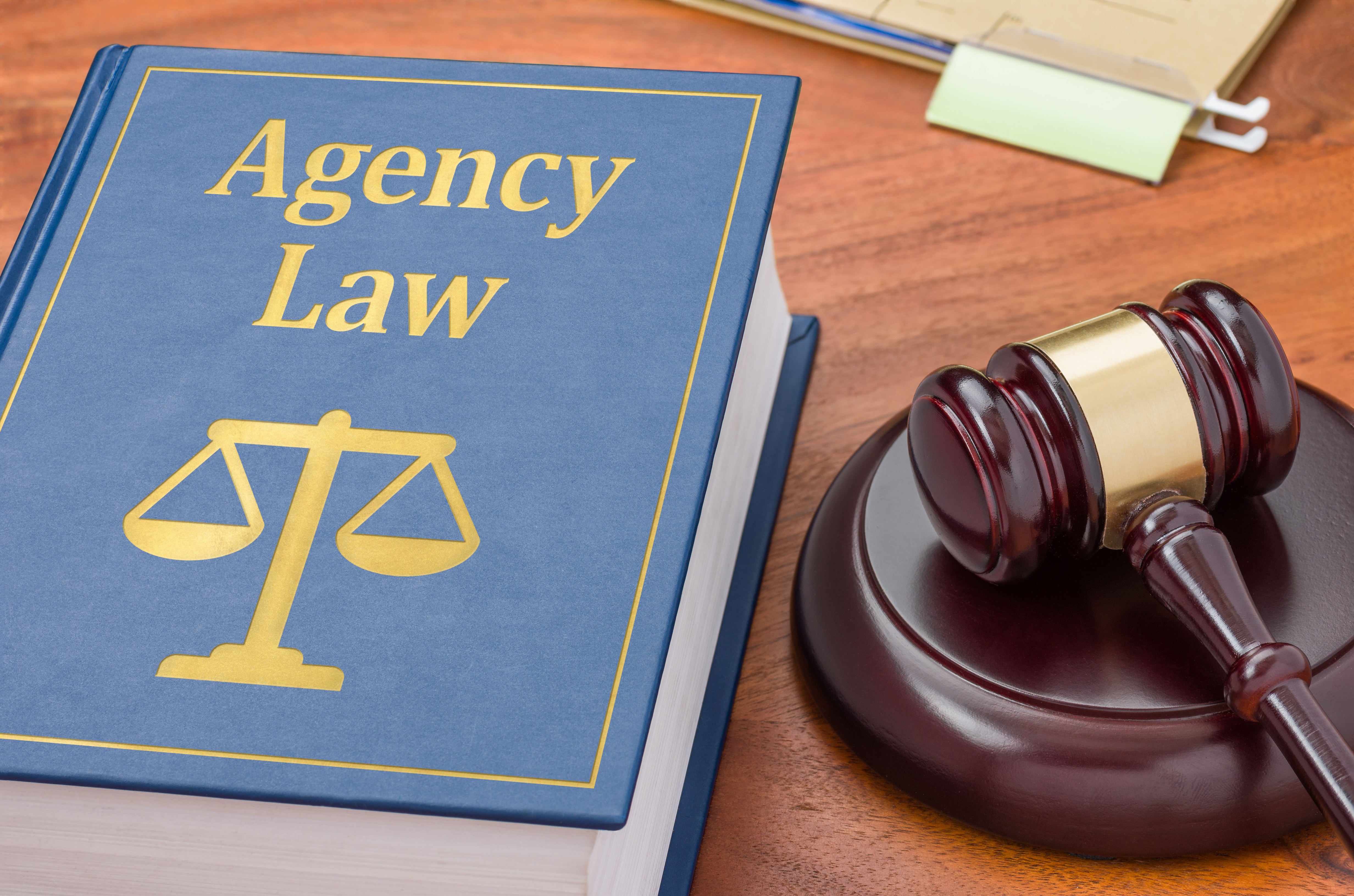 Agency Law