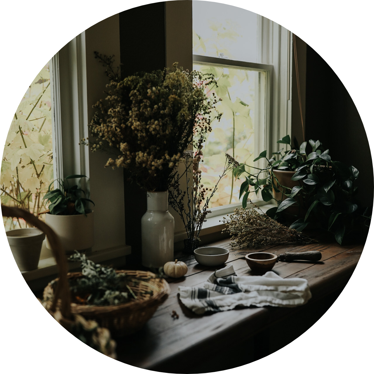 apothecary table covered in bowls and dried herbs