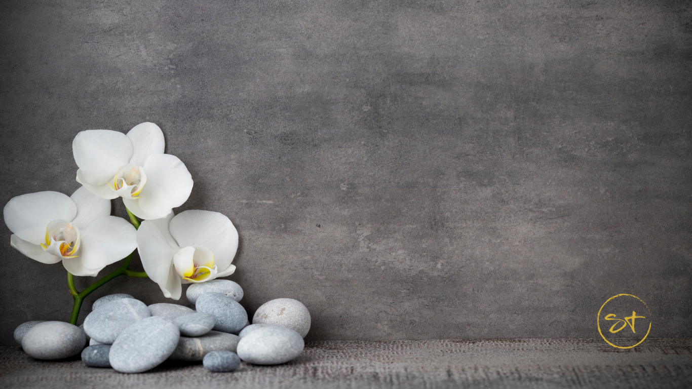 Luxury Spa Facial Banner