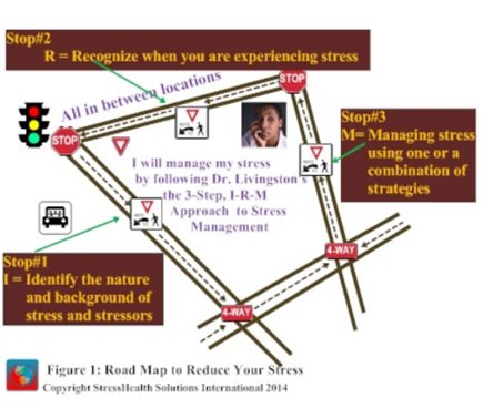 stress management model