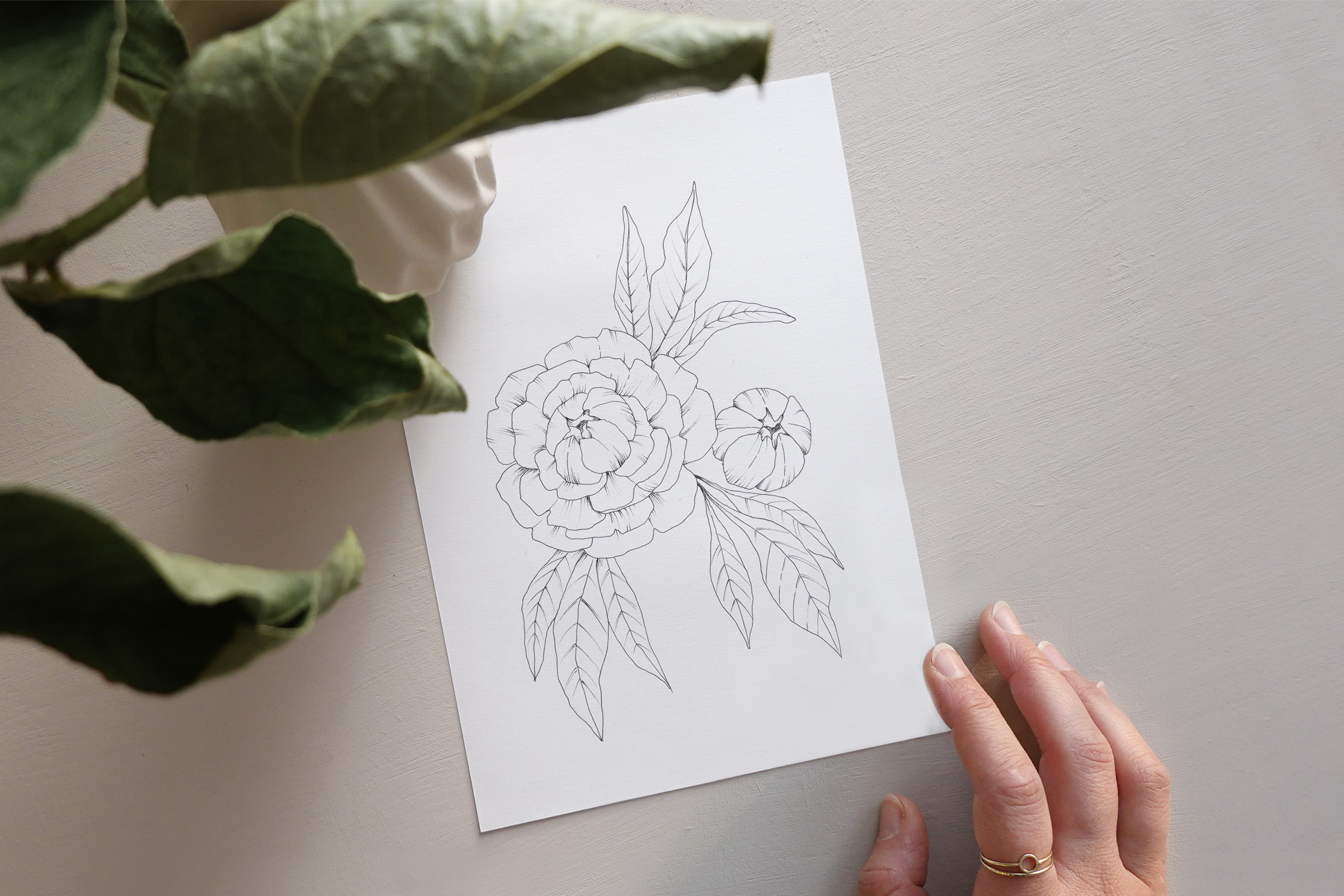 Drawing course Peonies art tutorials for beginners