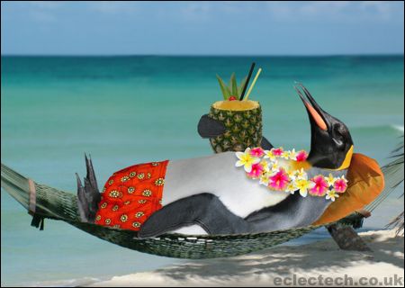 Tropical Penguin