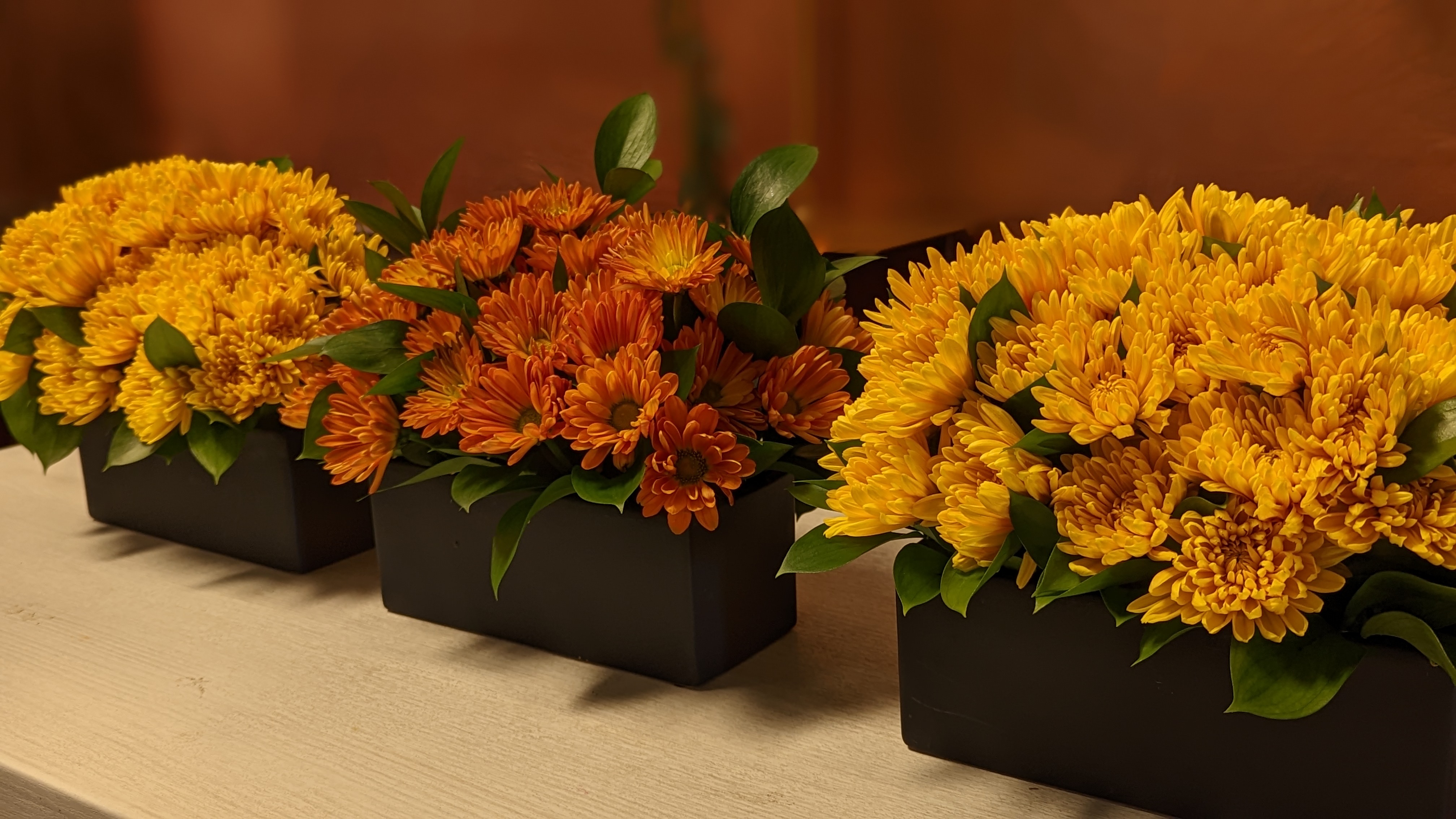 Chrysanthemums