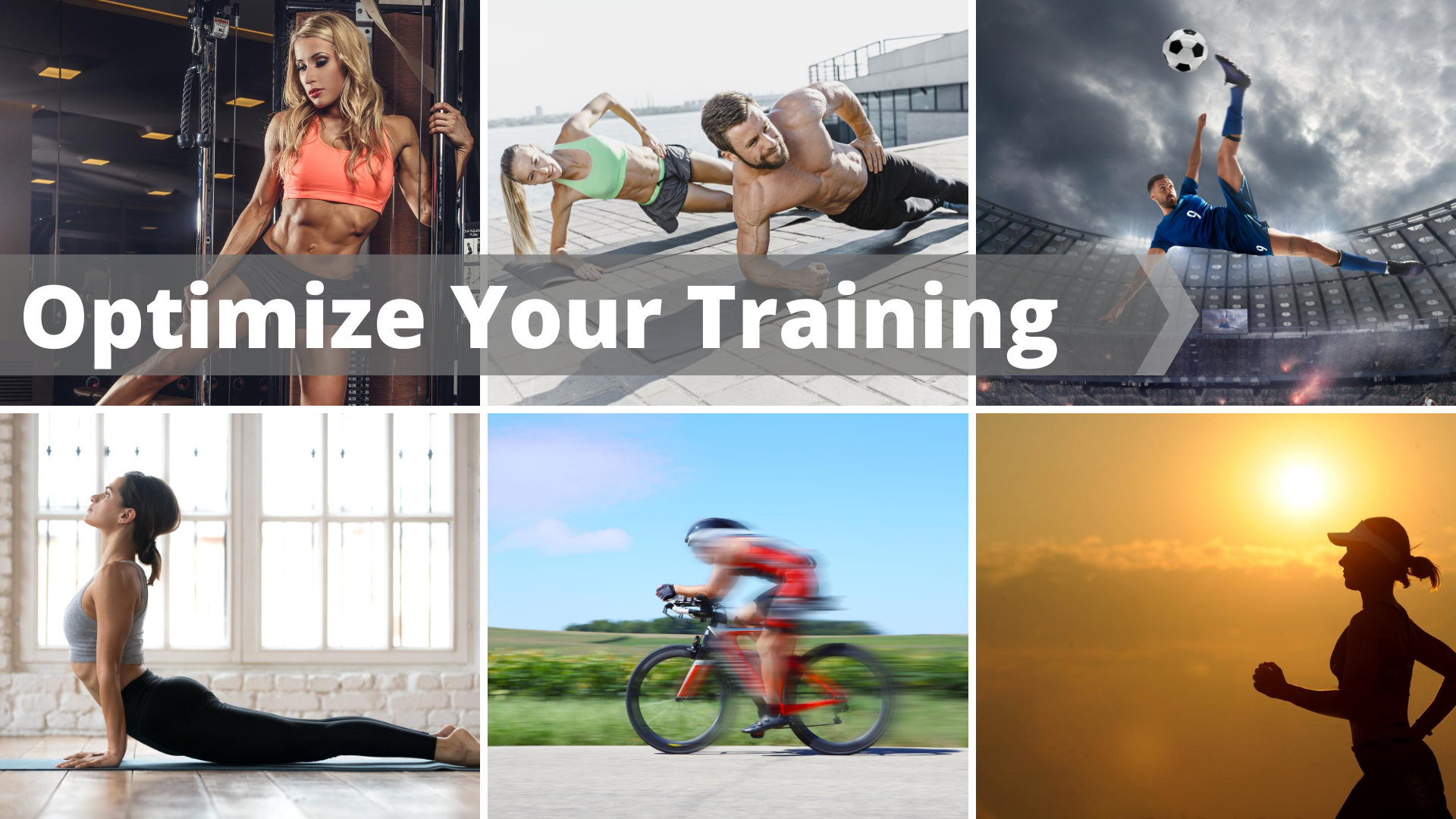 DNA analysis to optimize you training