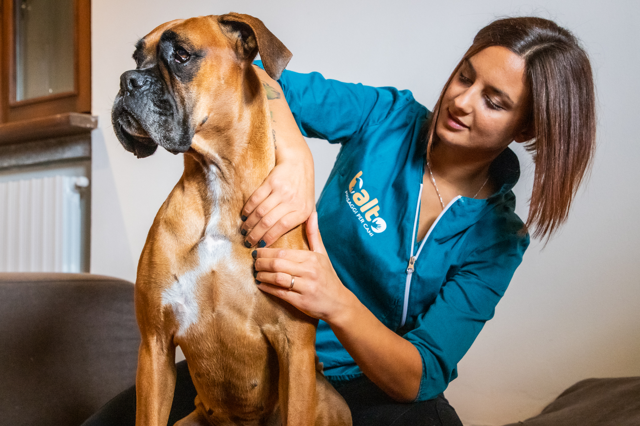 dog massage