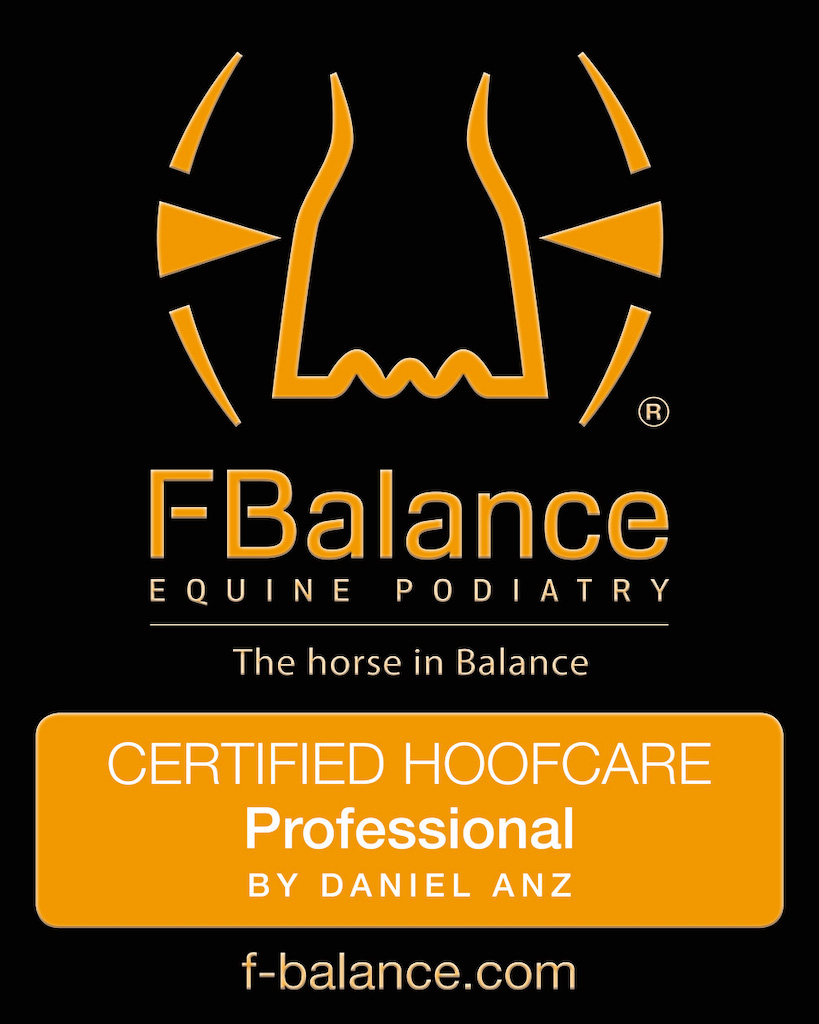 Certificado Balance F profesional