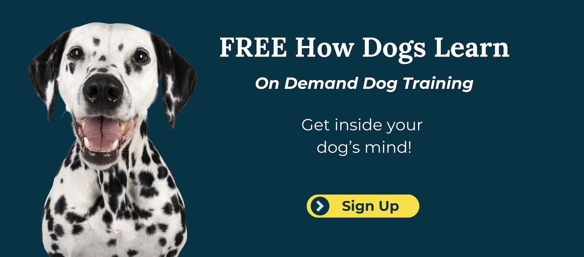 a website banner with a Dalmatian against a dark blue background to sign up for a free dog training class on how dogs learn from fearless pet