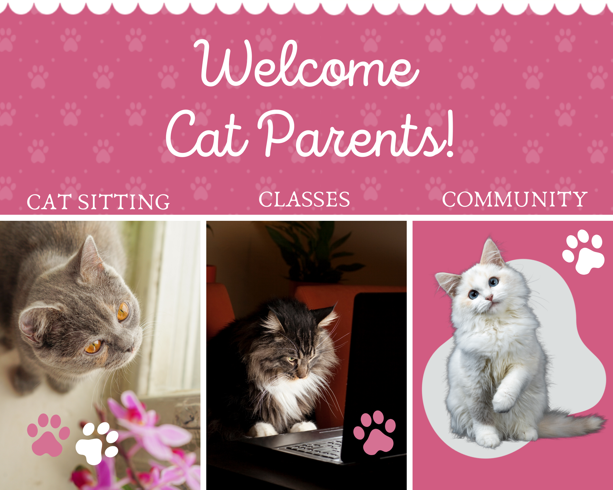 purr view banner with cats 