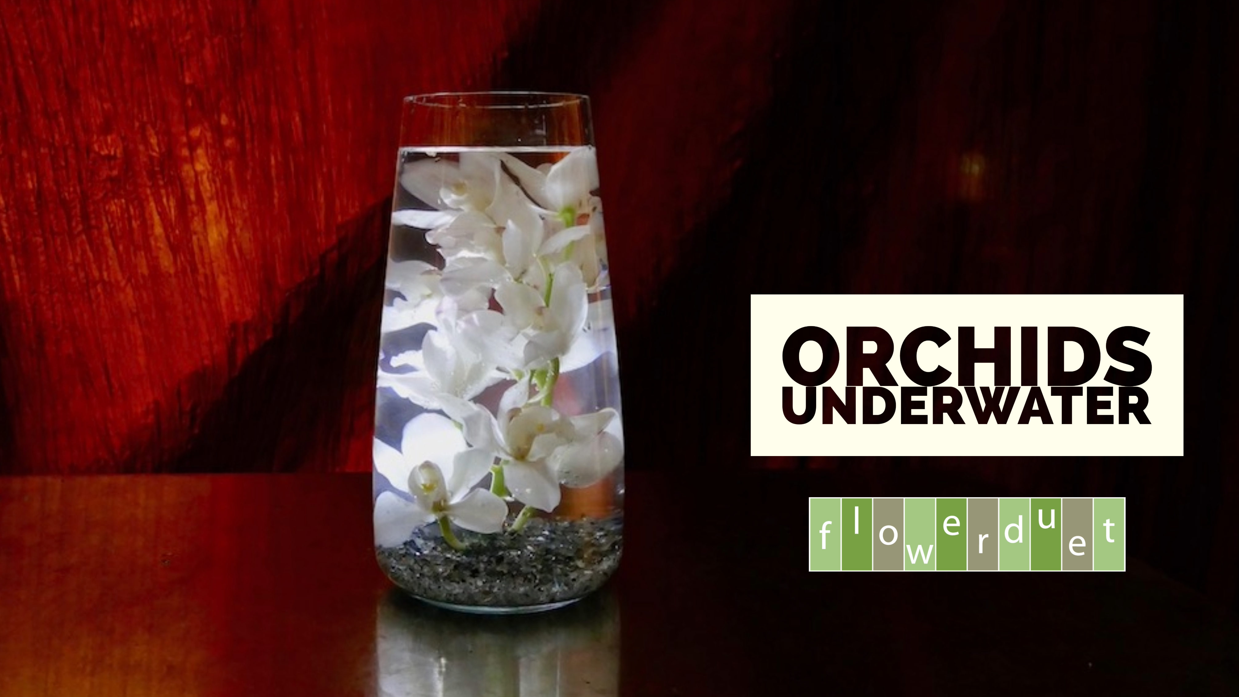 Orchids underwater in a vase