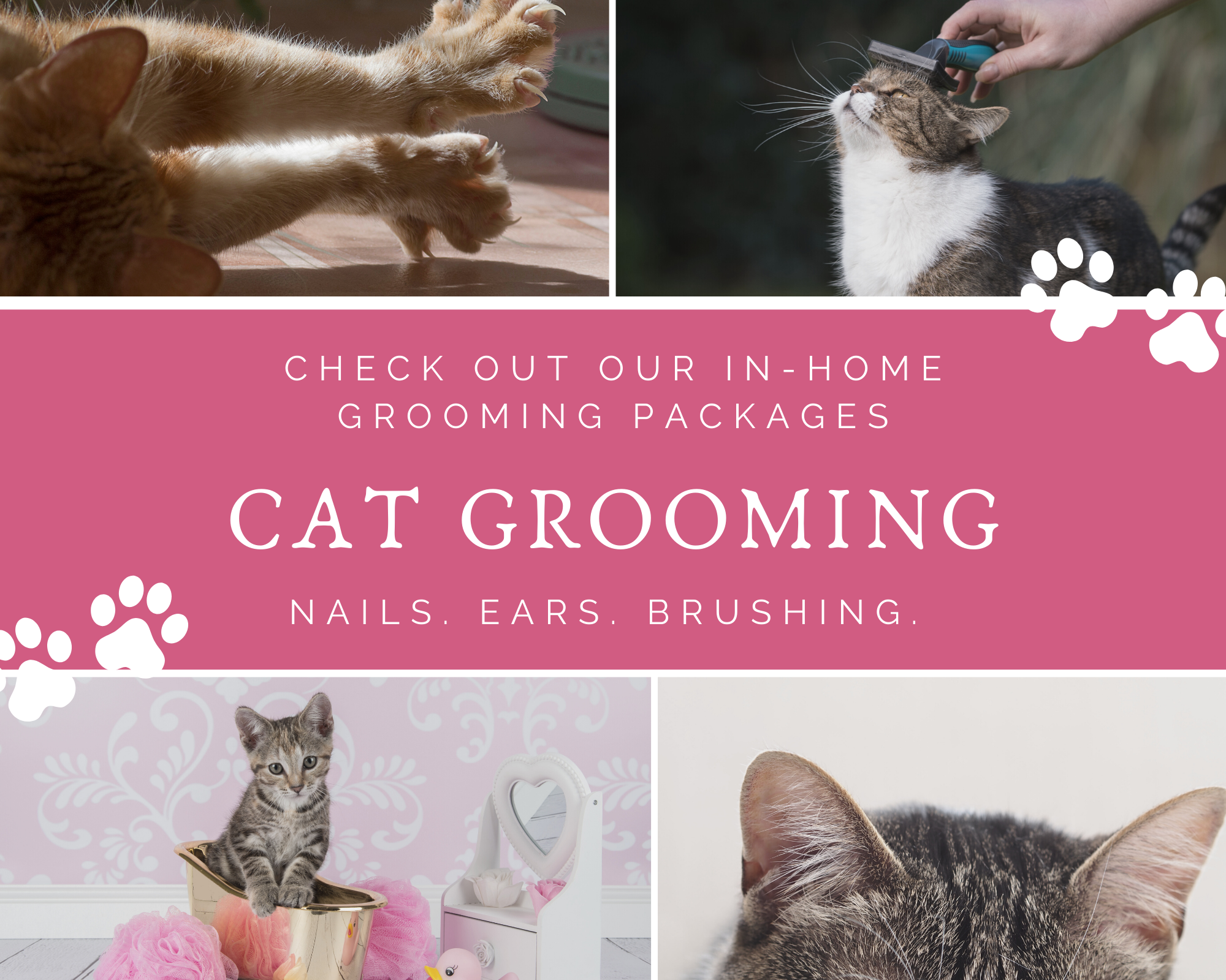 cat grooming services 
