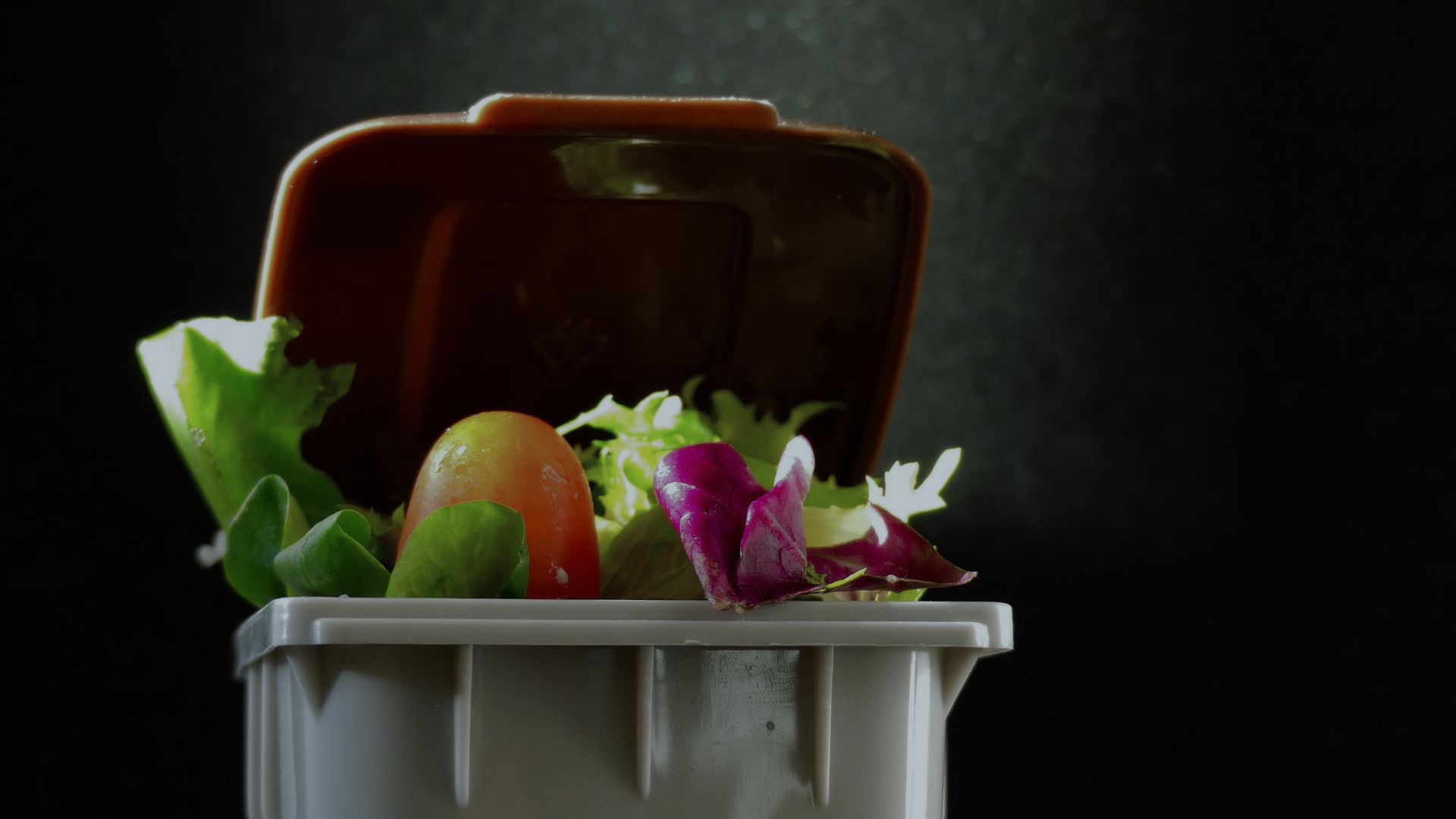 pérdida de alimentos
