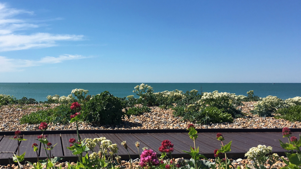 picture of a pebble beach with boardwalk and coastal plants