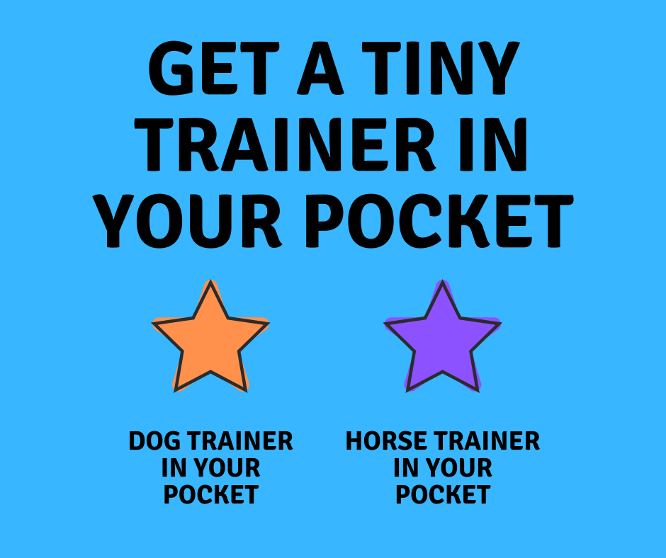 GET A TINY TRAINER IN YOUR POCKET